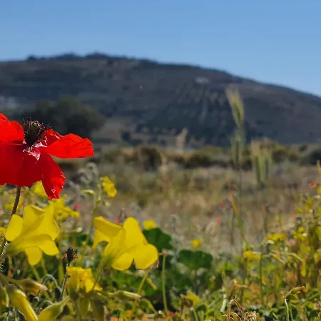 Ephantasy Living - Luxury With Roof Garden Kalamaki (Heraklion)